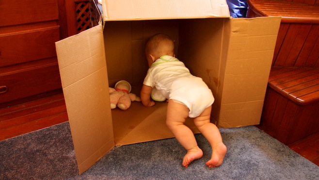 Cardboard Box